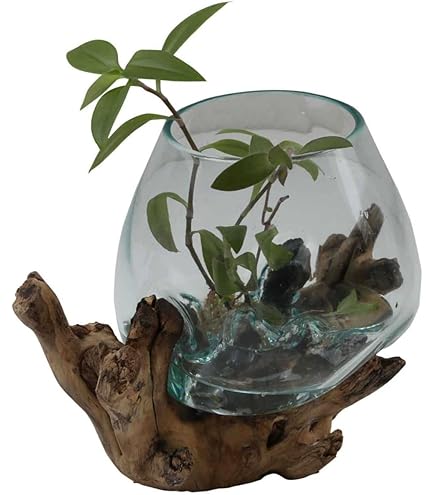 Vase En Verre Sur Bois De Racine - Diamètre : 15 Cm - Hauteur