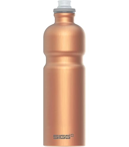 Sigg Shield One (1 l) - kopen bij