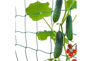 BRINNY Premium Ranknetz mit 10cm Maschenweite für Kletterpflanzen Spalier Rankgitter Pflanzennetz Wachstum von Tomaten Gurken Optimale Rankhilfe Netz für Garten Gewächshaus (Grün, 2m x 5m)