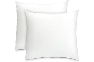 Foamily Throw Pillows Insert Set of 2 - 24 x 24 Insert for Decorative Pillow Covers - Made in USA - Bed and Couch Sham Filler @ M&A STYLES LTD