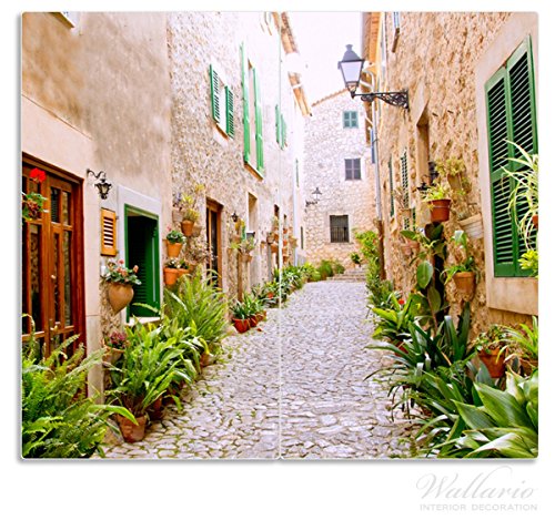 Wallario Herdabdeckplatte / Spritzschutz aus Glas, 2-teilig, 60x52cm, für Ceran- und Induktionsherde, Südländische Gasse mit alten Häusern und grüner Oase