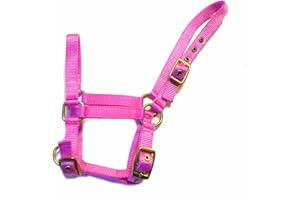 Rhinegold Licol en Nylon pour Poulain