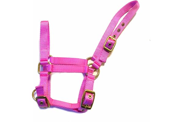 Rhinegold Licol en Nylon pour Poulain