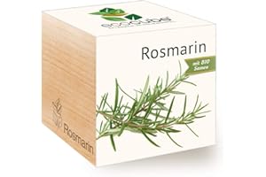Feel Green Ecocube Rosmarin Bio Sames Idée Cadeau Durable (100% Ecofriendly), Grow Your Own/Culture, Plantes dans la Vague en Bois, fabriqué en Autriche