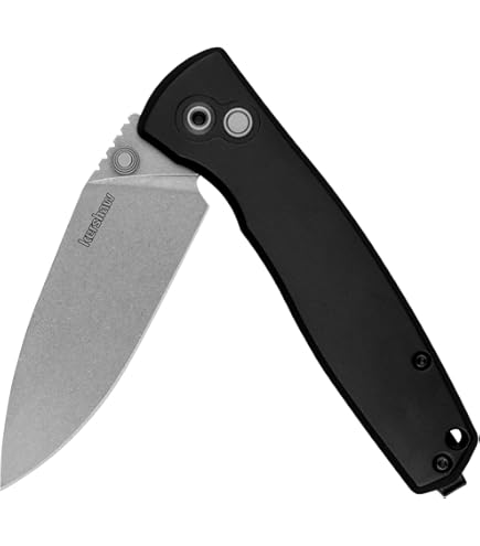 Kershaw Shoreline Pocket Knife, All Purpose 3 Inch Blade, Deep Carry