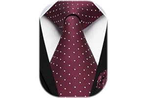 HISDERN Cravatta Uomo Elegante a Pois Cravatte e Fazzoletto da Matrimonio Set Cravatta da Business
