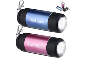 Delamiya 2 pièces mini lampe de poche LED, porte-clés lampe de poche, lampe de poche LED rechargeable USB enfants, lampes de poche pour enfants, pour le camping, l'escalade, l'extérieur, cadeaux (2P)