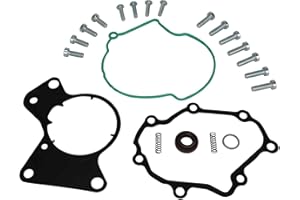 CAR-PARTS24 Dichtungssatz Vakuumpumpe Dualpumpe Tandempumpe Kraftstoffpumpe Unterdruckpumpe Reparatursatz kompatibel für T5 Touareg 2.5 TDI Diesel