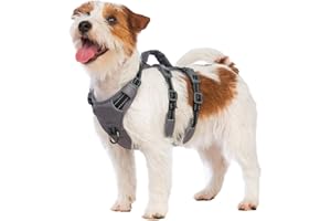 Huntboo pettorina cane taglia piccola media grande, pettorina antifuga cane, pettorina per cani con Manico, Traspirante, Regolabile, Riflettenti, Leggera, per Passeggiate e Addestramento (Nero,XS)