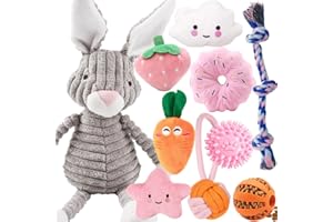 SPEEDY PANTHER 10 sztuk zabawek dla małych psów, piszczący pluszowy zestaw zabawek dla psa, ząbkowanie szczeniaka, piłka linowa, niezniszczalna zabawka do żucia dla psa, prezent dla małych, średnich psów, 10 szt