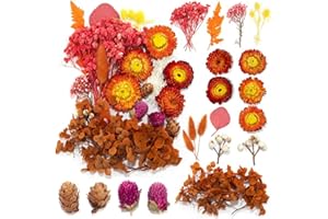 DEZP DEZ una caja flores secas naturales decorar flores secas decoracion jarrones ramos de flores secas flores preservadas naturales bouquet flores artificiales centro de flores secas（Naranja）