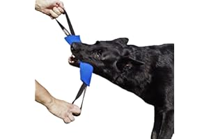 DINGO GEAR WWW.DINGOGEAR.COM 1977 Dingo Gear - Rimorchiatore in nylon per addestramento cani K9 IGP & Fun, 2 maniglie, blu, 28 x 7 cm