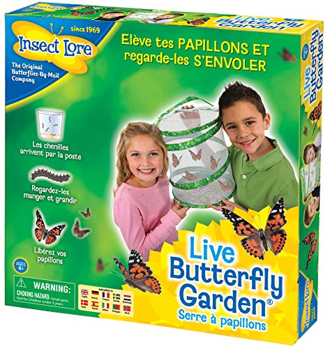 Insect Lore - 8010FR - Elevage papillons - Vert