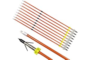 ZSHJGJR 6/12 unids Flechas de Pesca con Arco Flechas de Pesca de Fibra de Vidrio con Control Deslizante de Seguridad Bowfishing Flechas para Pesca y Caza
