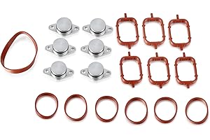 ‎MADLIFE GARAGE Madlife Garage 6 x 22 mm Diesel Swirl Flap Blanks Stungs Ansaugdichtungen Kit mit Ansaugkrümmerdichtungen für M47 und M57 Dieselmotoren