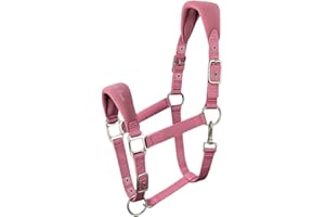 AK RIDING SPORTS AK Licol pour Cheval Doux et Rembourré Confort Supérieur avec Rembourrage, Sangles Réglables à la Muserolle et à la Nuque Licol Doux, Résistant et Sécurisé pour Chevaux 6070 (Rose, Cob/ (M))