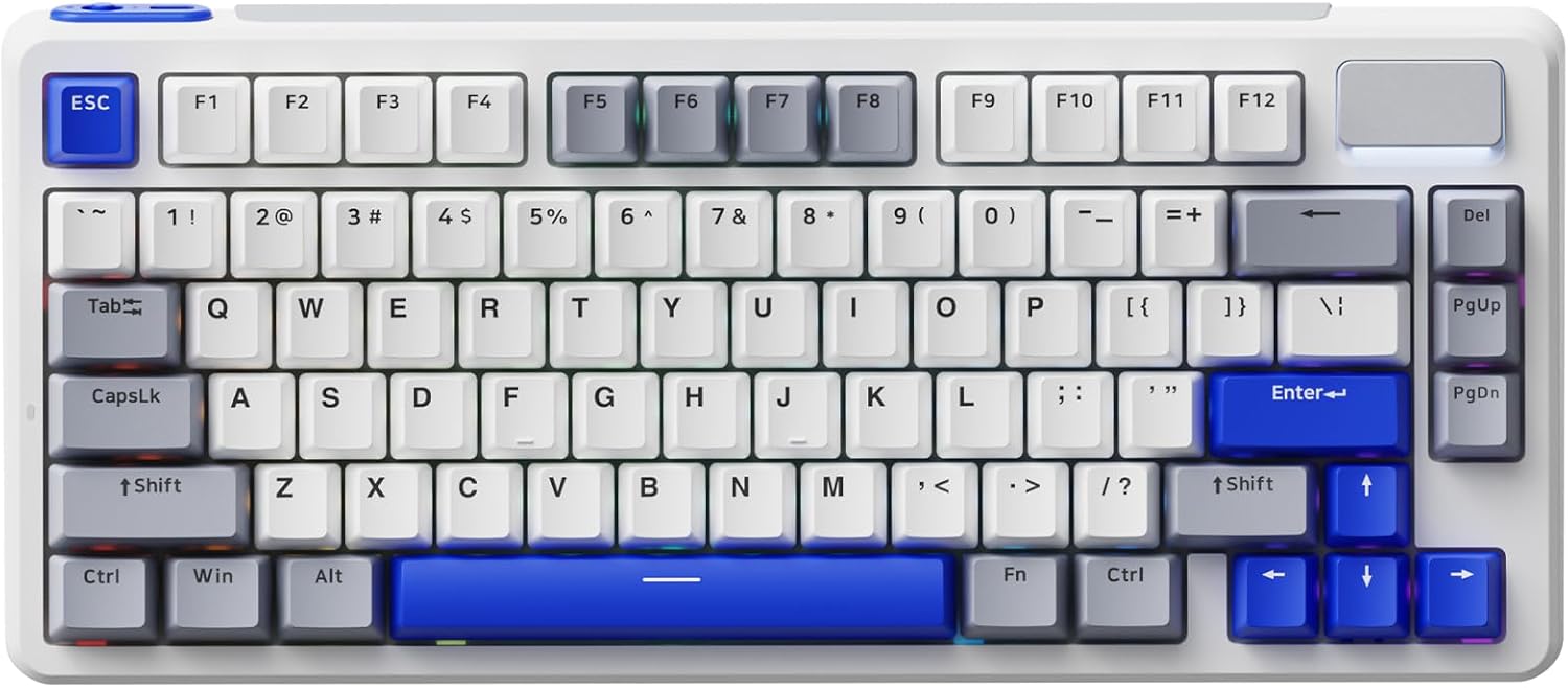 Rapoo V700DIY-75 Teclado Mecánico Inalámbrico Gaming, BT5.0/2.4GHz/Cableado, Personalizado Hot-Swappable, Interruptor Lineal Speed Silver, 16.8M RGB por Tecla, Montaje Gasket, Anti-Ghosting NKRO