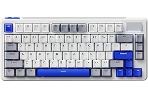 Rapoo V700DIY-75 Teclado Mecánico Inalámbrico Gaming, BT5.0/2.4GHz/Cableado, Personalizado Hot-Swappable, Interruptor Lineal Speed Silver, 16.8M RGB por Tecla, Montaje Gasket, Anti-Ghosting NKRO