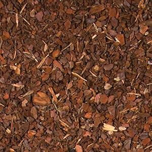 Pinienrinde, natürliches Terrariensubstrat, 20 l