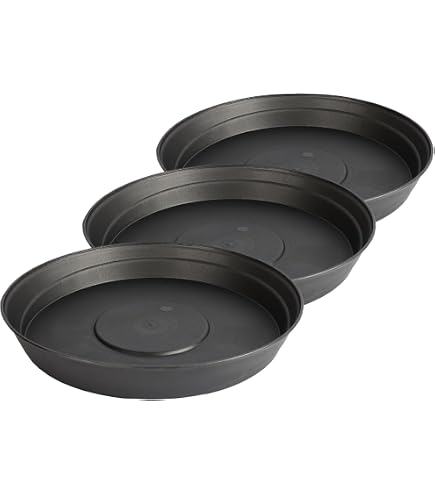 Stewart Sottovaso Multiuso In Plastica 50 Cm – Resistente E Leggero Per Piante Grandi