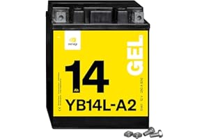Denagi 51411 GEL YB14L-A2 Motorradbatterie 12V 14Ah, wartungsfrei versiegelt vorgeladen