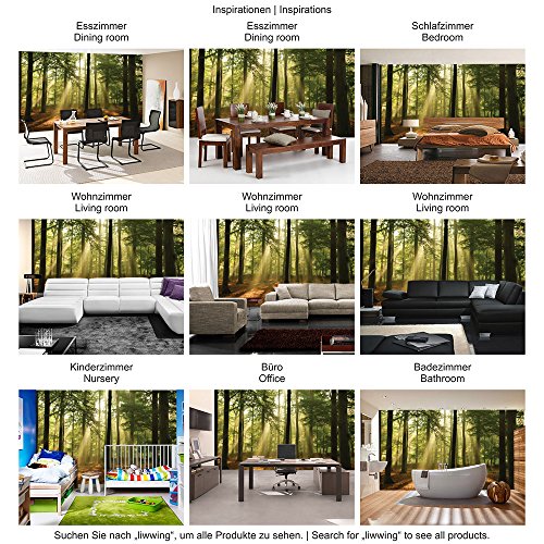 Vlies Fototapete 416x254cm PREMIUM PLUS Wand Foto Tapete Wand Bild Vliestapete – Wald Tapete Laubbaum Laubwald Sonne Sonnenstrahlen bunt – no. 3287 - 5