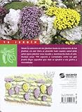 Image de Flores y plantas de rocalla