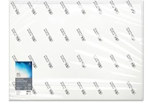 Winsor & Newton Professional Watercolour Foglio Grana Satinata 300 g - 56 x 76 cm