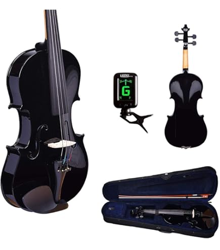 Stentor Student Standard Violin Outfit 4/4 Size, Entry Level
