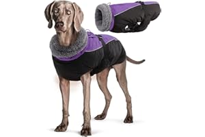Hjyokuso Chaqueta Impermeable para Perros, Abrigo Cálido y Chaleco a Prueba de Viento para Nieve, para Perros Pequeños, Medianos y Grandes