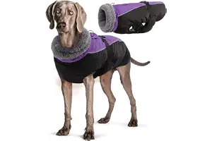 Hjyokuso Ropa para Perros, Chaqueta para Perros, Abrigo para Perro Impermeable, Abrigos para Perros cálidos Chaquetas para Perros pequeñas Medianas y Grandes Chaleco para Nieve a Prueba de Viento
