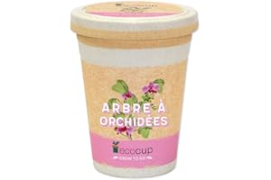 Feel Green Ecocup, Arbre À Orchidées, Idée Cadeau (100% Ecologique), Grow-Your-Own/Kit Prêt-à-Pousser, Plantes Dans Coffee Cup 10 x 8 cm, Produit En Autriche