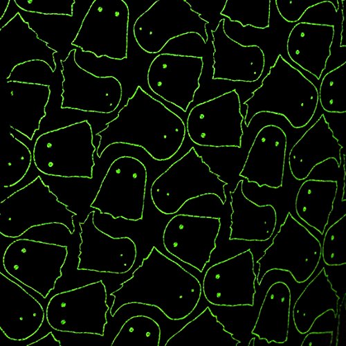 Lässig Spooky Sac à dos enfants, 42 cm, Noir (Spooky Black)