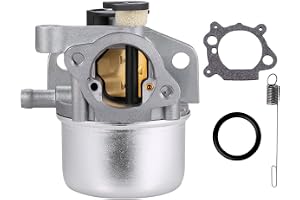 ZAMDOE 799866 Förgasare med packning för Briggs & Stratton 790845 799871 796707 794304 128L05 128L07 128M02 12H800 22" återvi