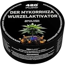estragon düngen Estragon