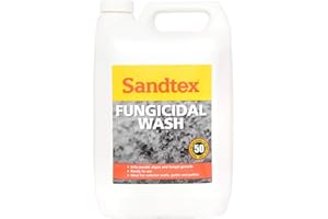 Sandtex Fungicidal Wash