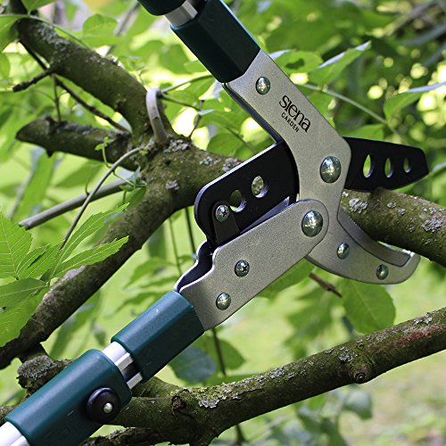 Siena Garden Pro Alu Amboss Astschere teleskopierbar - 7