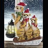 LED Weihnachtsbeleuchtung Solar Erdmännchen 2017 mit...