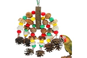 MQUPIN Jouets pour perroquets, noix riches en nutriments, jouet à mordre en bois naturel pour cage de perroquet, cacatoès contenant des os de seiche, pommes de pin, mangues en bois et carambole pour