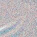 Cosmetic Grade Glitter - Holographic Colours (5 Grams (Pot), Holographic Silver)
