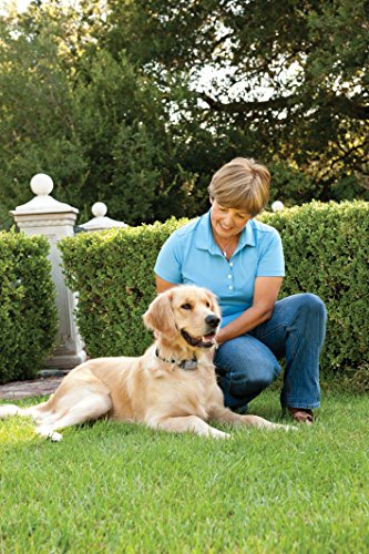 PetSafe-Big-Dog-Deluxe-Spray-Bark-Control-Collar-Unscented