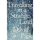 Travelling in a Strange Land: Winner of the Kerry Group Irish Novel of the Year