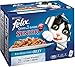 Produktbild Felix So gut wie es aussieht Ältere Fische Selection in Jelly - Pouch (12x100g) - Packung mit 2
