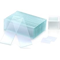 10 Vetrini Preparati Microscopio KONUS Biologia 2 - Per Studio E Osservazione Scientifica - Foto 10