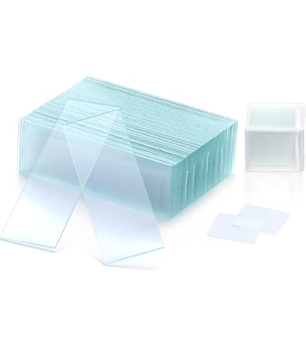 Lot De 2 Boîtes De Rangement Pour Lames Microscope - Contient 25 Lames Chacune, Dimensions 9.5x8.2x3.3cm