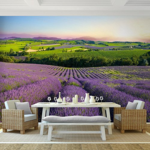 Fototapete Provence 308 x 220 cm – Vliestapete – Wandtapete – Vlies Phototapete – Wand – Wandbilder XXL – !!! 100% MADE IN GERMANY !!! Runa Tapete 9022010b - 2
