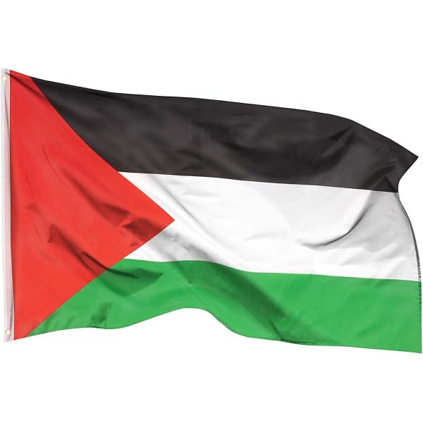 Écharpe Palestine Double Face - Châle Drapeau Palestinien & Motifs Jérusalem - 135cm - Cadeau Homme & Femme