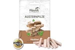 Hawlik Pilzbrut I setas de ostra para cultivar usted mismo - 20 espigas con micelios de champiñon para cultivar en madera y paja - un juego de niños para cosechar setas frescas - setas autocultivo