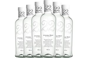 DISTRIBUIDOR Agua 22 Artesian Water Con Gas 522 Botella Medium 50 cl (Caja de 6 Botella Medium de 50 cl)
