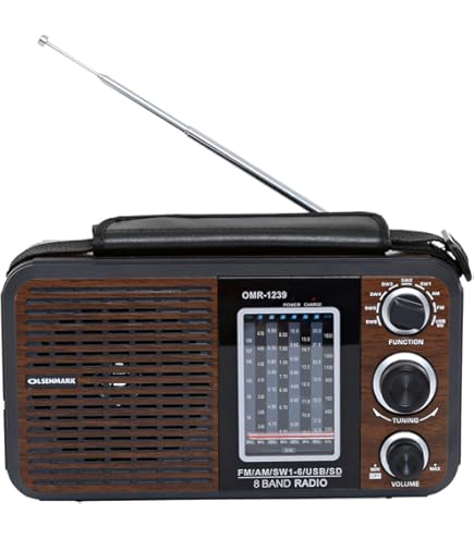 Dab Radio Portable Dab Radio Mains Powered Or 15h Battery - View #4